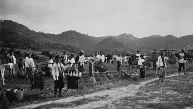 تحالف العمال والفلاحين في الانتقال إلى الاشتراكية اليوم