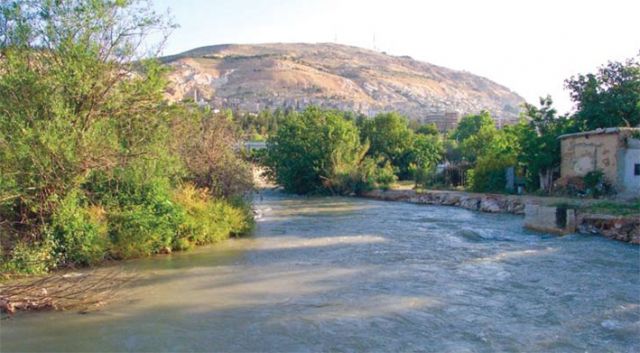 وجدتها: انحياز لصالح المبيدات