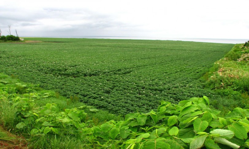 غضب في الجنوب الموريتاني