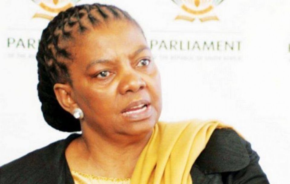 &laquo;الإرادة الشعبية&raquo; يلتقي نائب وزير العلاقات والتعاون في جنوب أفريقيا