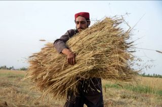 الجوع هو الوباء القادم الذي لم ولن يتحضر الرأسماليون له