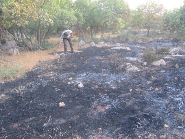 المتضررون من حرائق الأحراج بانتظار التعويض!