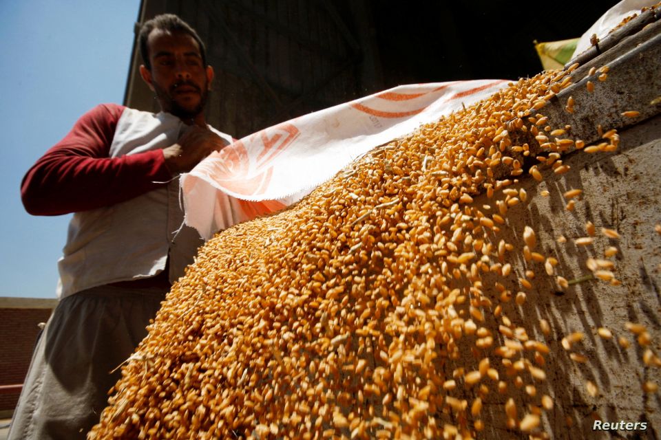 تصريح روسي وبيانات مصرية تؤكد فشل الغرب بتعطيل إمدادات القمح