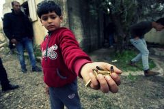 الزمن الفلسطيني: بين الثورة والسلطة