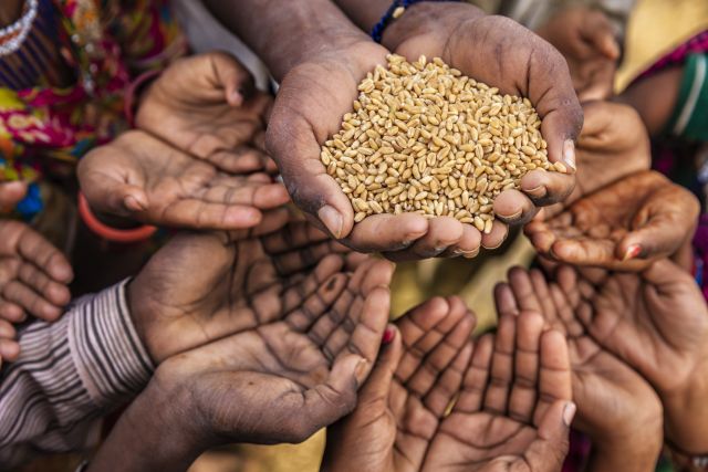 من المستفيد من الجوع العالمي؟