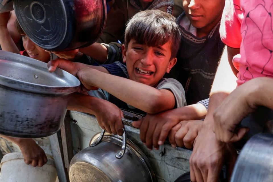 أخبار ثقافية