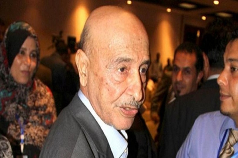 رئيس البرلمان الليبي يلتقي السيسي بالقاهرة