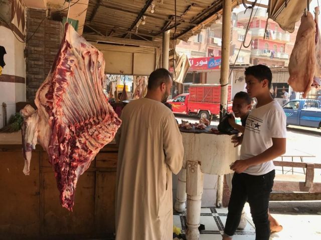 الأجر السوري خلال خمسين عاماً من نصف كيلو إلى 7 غرامات سنوياً