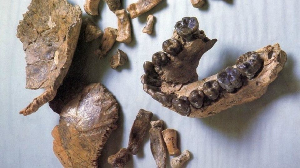 أخبار العلم