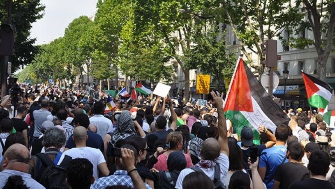 نائب فرنسي: «الاعتراف بدولة فلسطين مصلحة إسرائيلية»