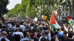 نائب فرنسي: &laquo;الاعتراف بدولة فلسطين مصلحة إسرائيلية&raquo;