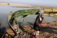جفاف يهدّد الزراعة في جنوب العراق