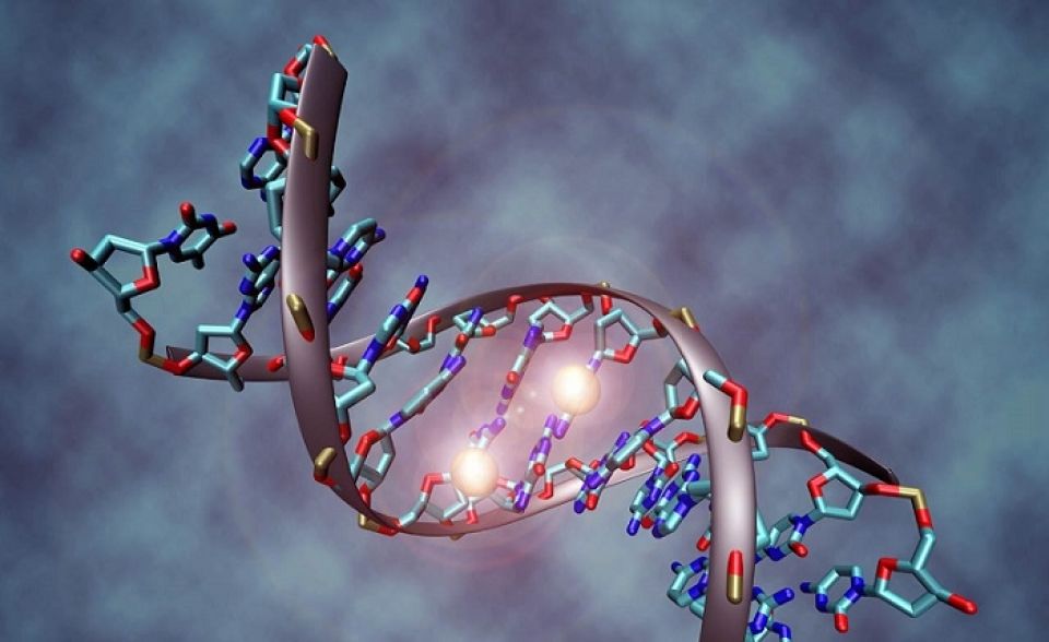 المشكلة في الخارطة الوراثية أم في الخارطة الجغرافية؟
