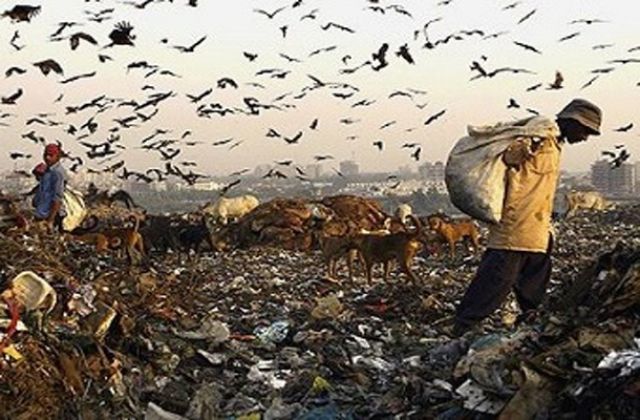 بالزاوية!: جنون