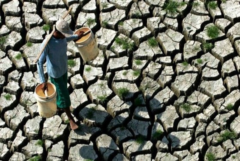 التفكير التطوّري ضرورة في مواجهة تغيّر المناخ