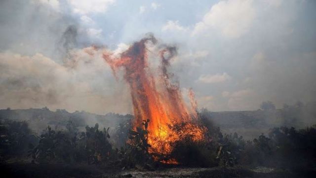 النيران تلتهم أراض في المستعمرات الصهيونية