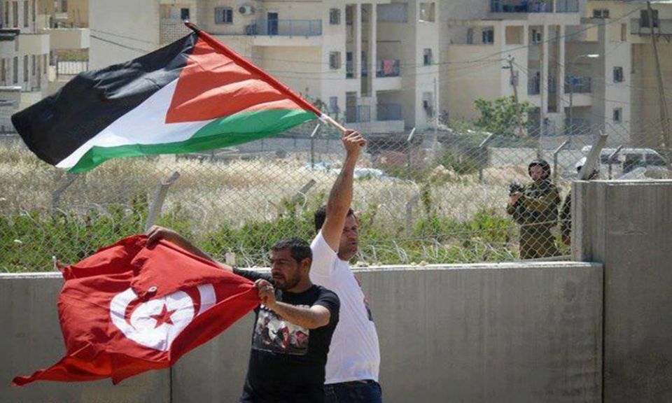 تجّريم التطبيع: ورقة عبّاد الشمس التونسية