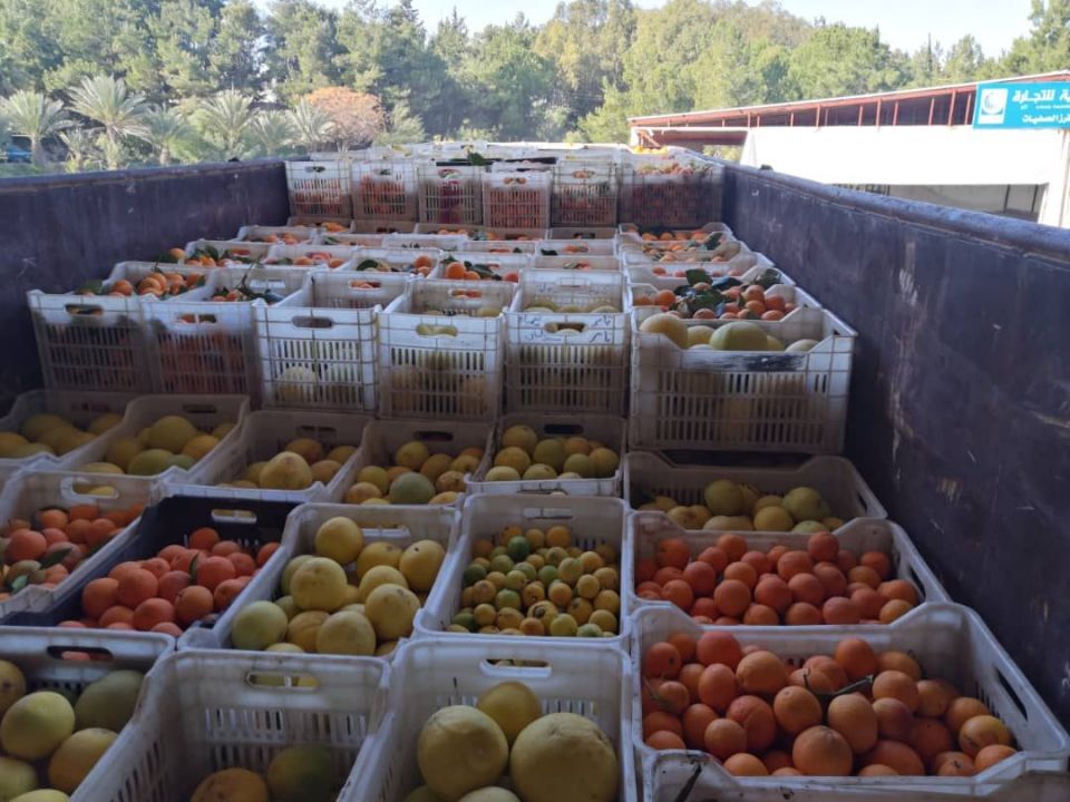 خبر عام وتعليق هام! اتفاقية &laquo;الكوريدور الأخضر&raquo; مع روسيا متوقفة منذ نحو سبع سنوات!