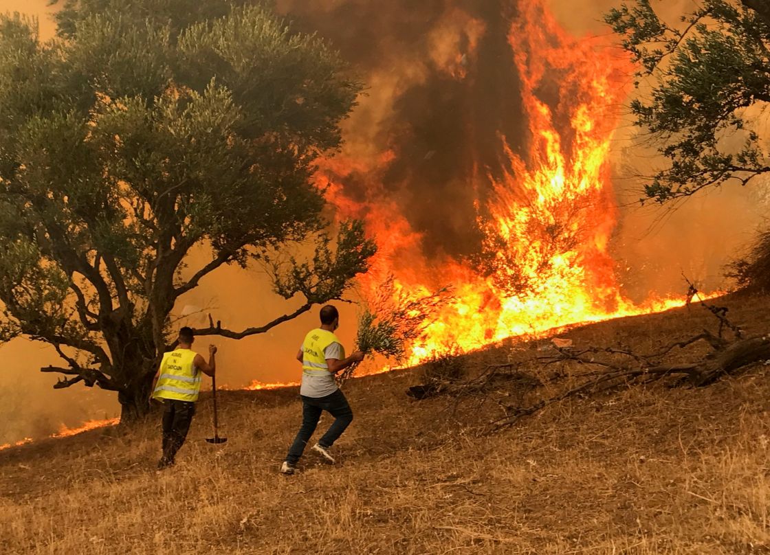 الجزائر: ارتفاع قتلى الحرائق إلى 69 وإخماد 76 حريقاً عبر 15 ولاية