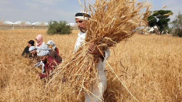 التحول الإلكتروني يتوقف عند باب المستودع... وأموال الفلاحين بالانتظار!