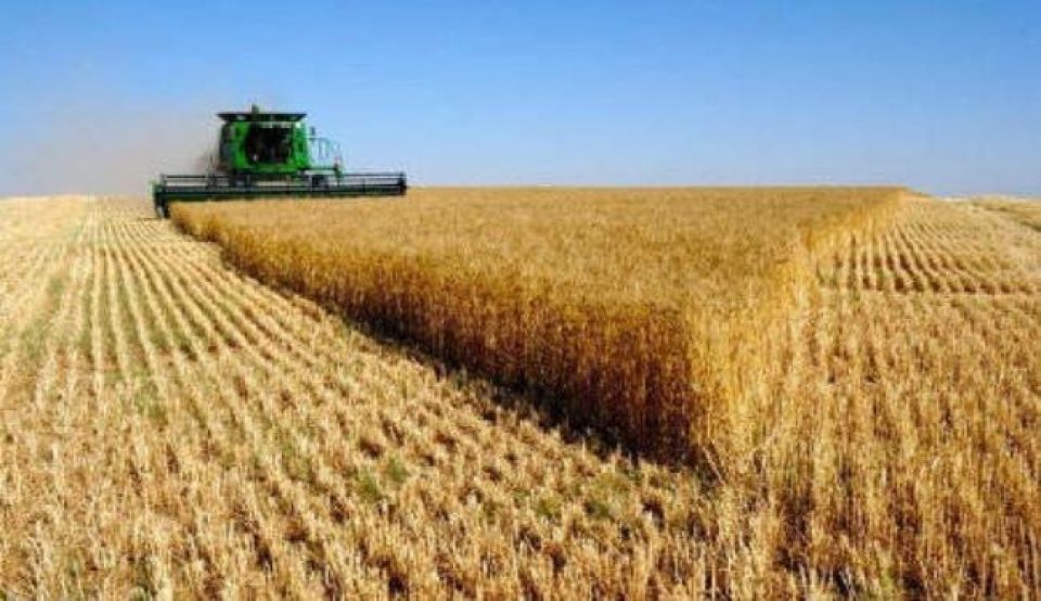 قطاع عمومي النفع