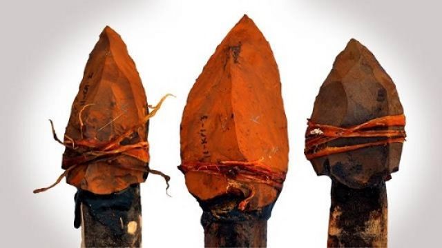 وجدتها: لماذا نخاف من الإرهابيين؟