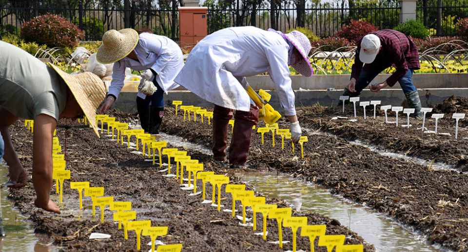 احترام الشواغل الأساسية شرط لازم لتسوية النزاعات التجارية