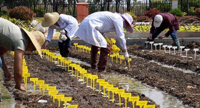 احترام الشواغل الأساسية شرط لازم لتسوية النزاعات التجارية