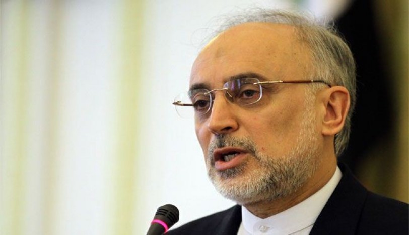 صالحي: إيران ستشرع باتخاذ خطوات متبادلة بالتزامن مع بدء الغرب إزالة الحظر