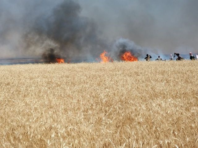 خبر عام وتعليق هام ... &laquo;المصرف الزراعي التعاوني قرر التوقف عن بيع الأسمدة للفلاحين بالأسعار المدعومة&raquo;