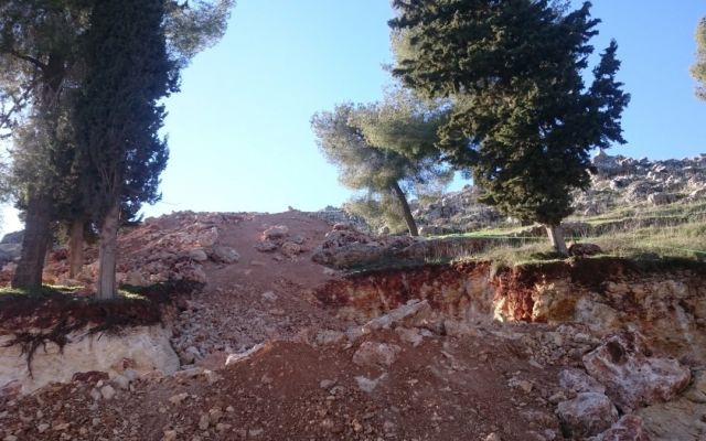 ملاحظات أولية على قانون الحراج الجديد /1/