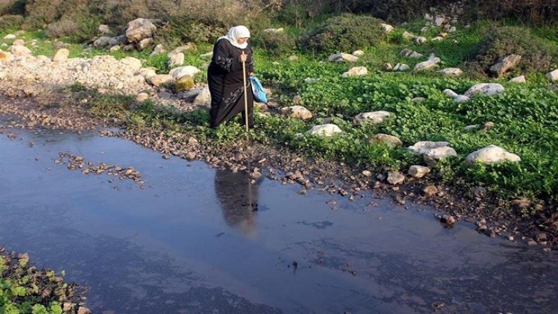 تقرير أممي: &quot;دولة الكيان إسرائيلي&quot; تسمم الفلسطينيين