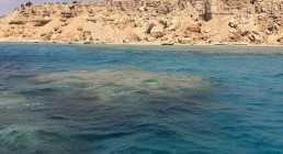 &laquo;الحكم ببطلان توقيع اتفاقية &laquo;تيران وصنافير