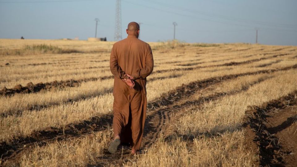 &laquo;الزراعة التعاقدية&raquo;: اسم آخر لتحويلالفلاحين إلى أجراء و&laquo;مرابعين&raquo;؟