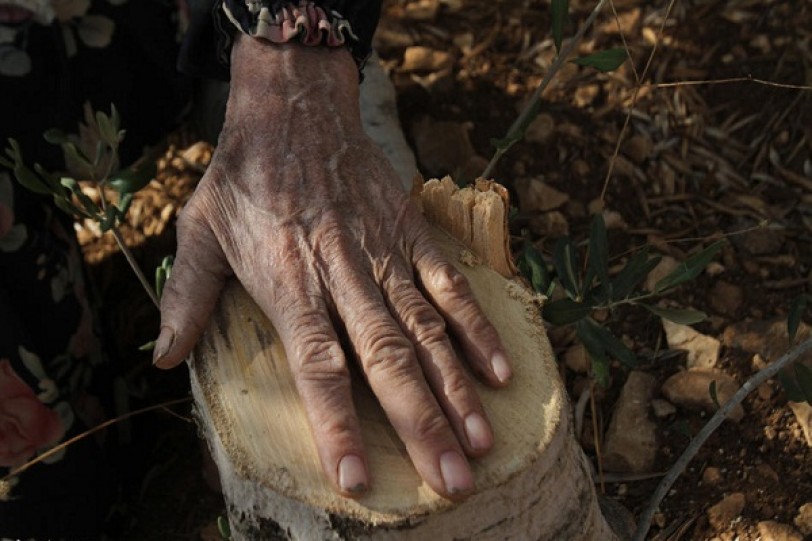 حرب اقتصادية تشنّها &laquo;إسرائيل&raquo; على فلسطينيي الـ48