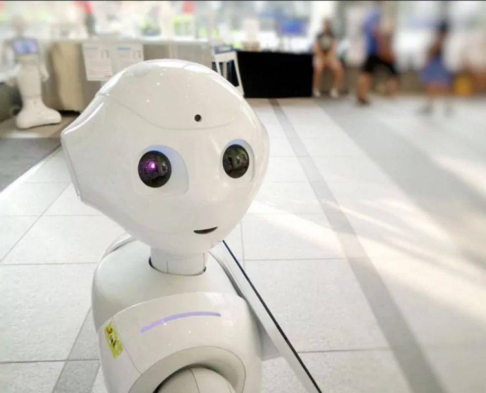 أخبار ثقافية