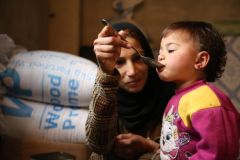 بينما يضرب الجوع السوريين: الحكومة تخصص 13 كيلو لحم يومياً لحديقة أسود ودببة من الأموال العامة!