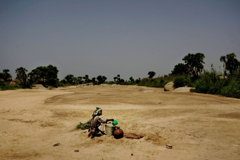 إنتاج الأزمات الغذائية من قلب الوفرة