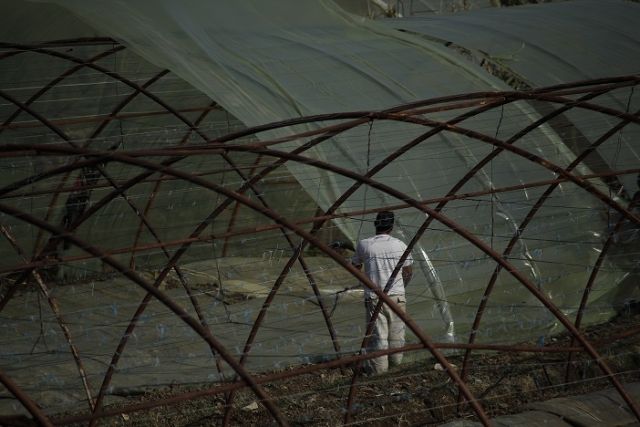 مداخلة عن القطاع الزراعي في اللاذقية