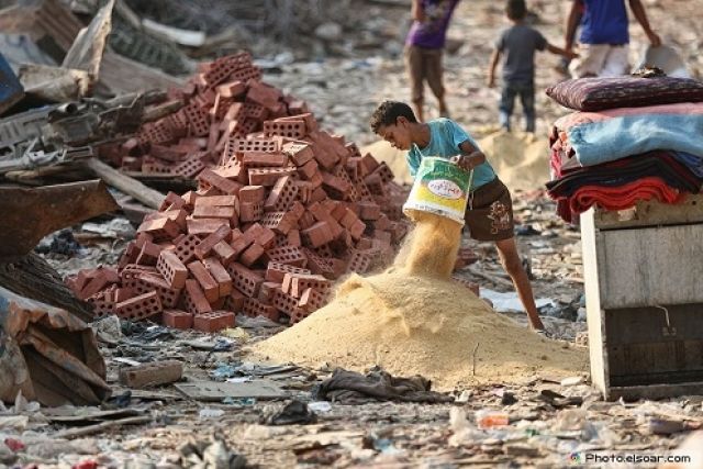 عن مصر.. ورأس المال.. والأزمة العميقة