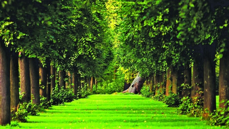 مؤشر الأداء البيئي