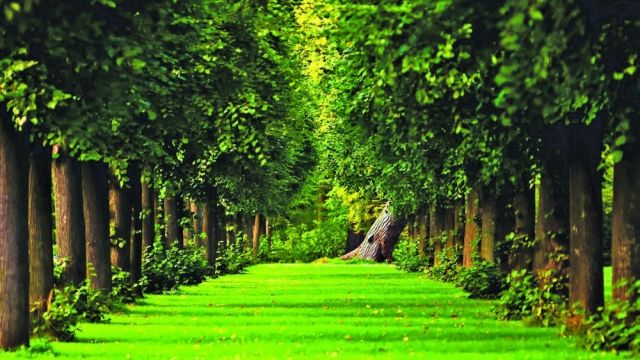 مؤشر الأداء البيئي