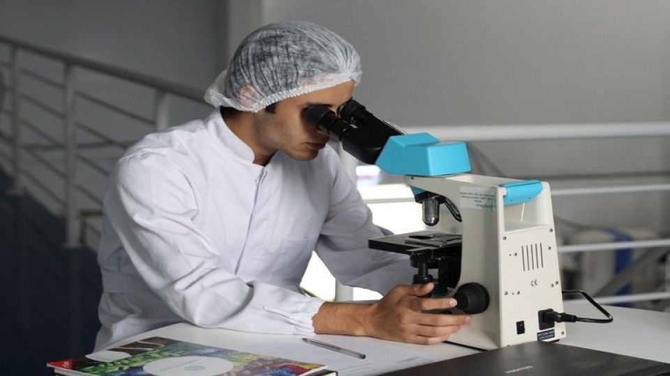 آلية تمنع وقف عمل الحمض النووي