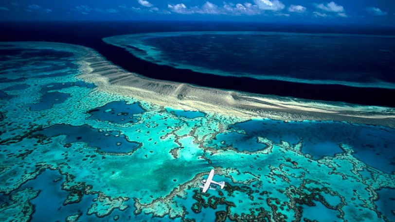 الحاجز المرجاني العظيم في أستراليا يمكن أن يدرج على قائمة الخطر