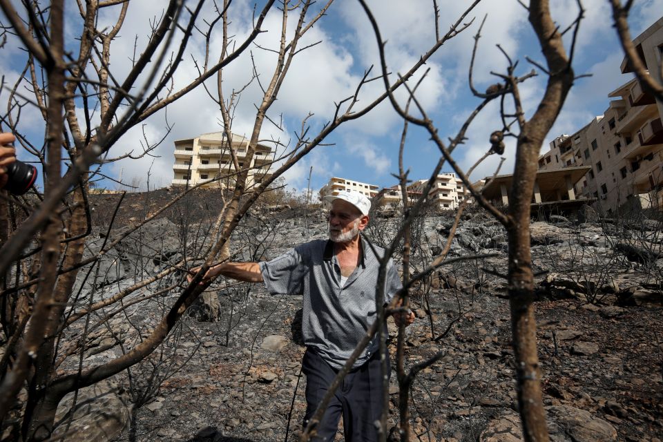 الحرائق المتكررة في محافظة طرطوس