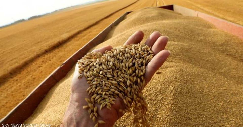 عقوبات الغرب ترفع أسعار القمح وتهدد حياة الملايين جوعاً