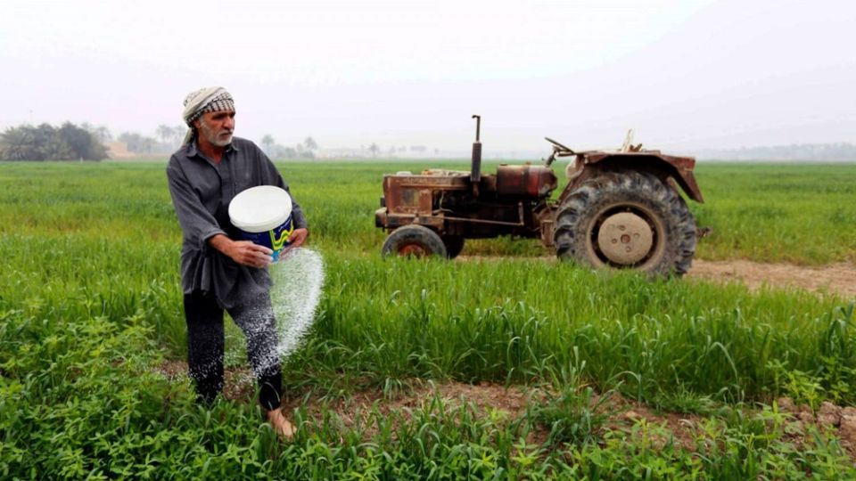 تخفيض أسعار الأسمدة والتعامل بالدولار خطوة إصلاحية أم انحياز للموردين؟