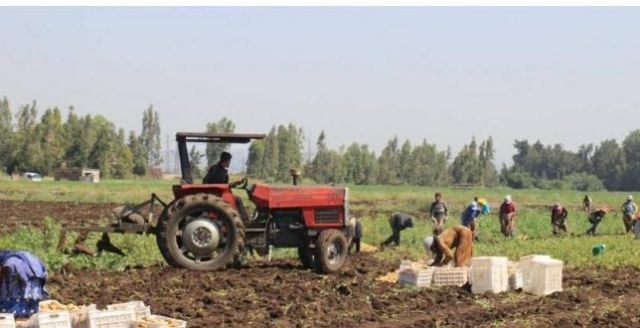 فلاحو سهل عكار بانتظار إنصافهم!