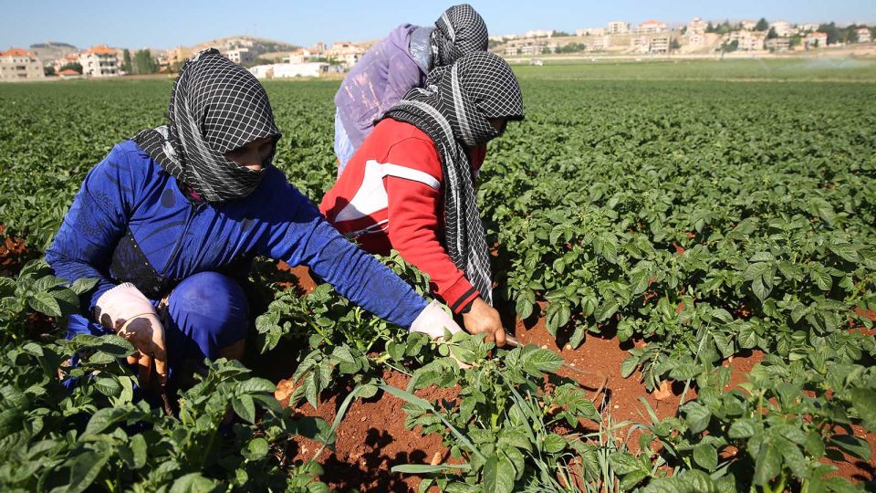 حول «الهزيمة التاريخية للمرأة» وتشويه إنجلس باسم «الماركسية»