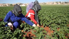 حول &laquo;الهزيمة التاريخية للمرأة&raquo; وتشويه إنجلس باسم &laquo;الماركسية&raquo;